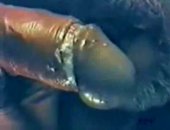 Dick